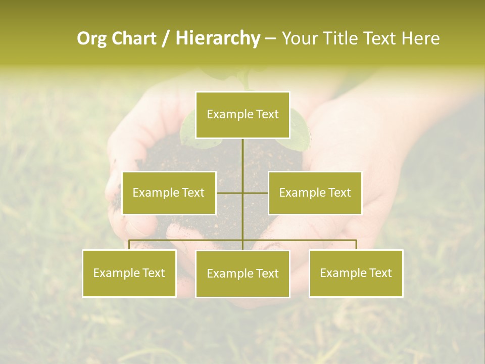 Seed Herb Organic PowerPoint Template