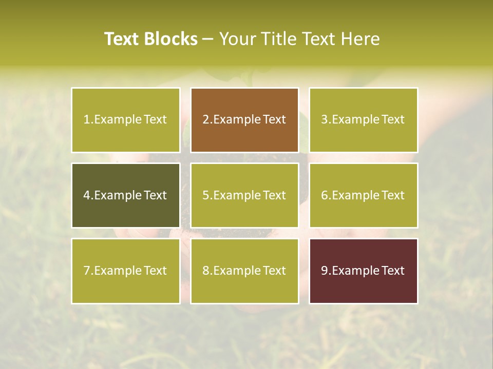 Seed Herb Organic PowerPoint Template