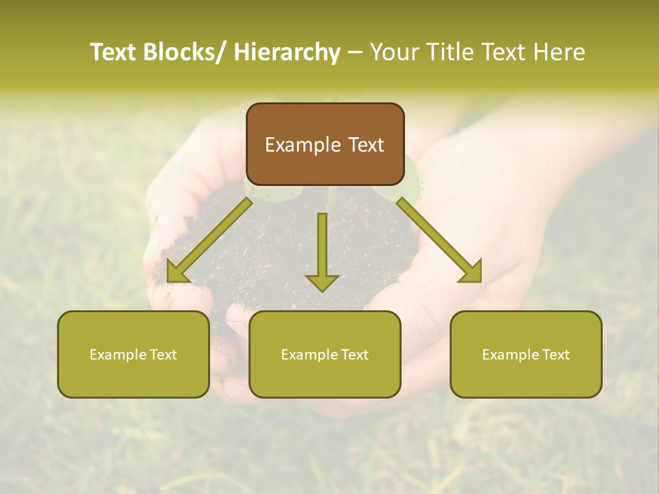 Seed Herb Organic PowerPoint Template