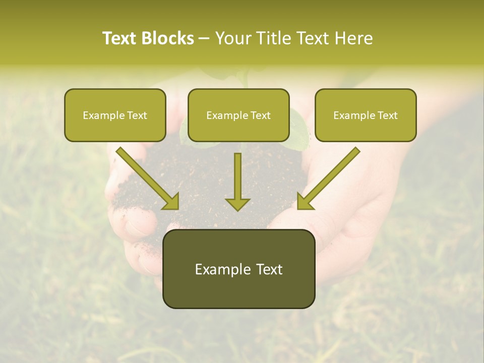 Seed Herb Organic PowerPoint Template