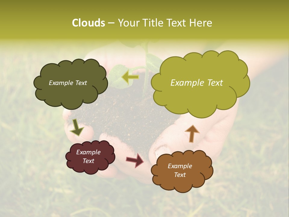 Seed Herb Organic PowerPoint Template