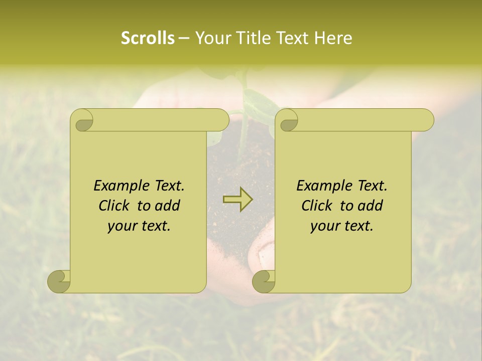 Seed Herb Organic PowerPoint Template
