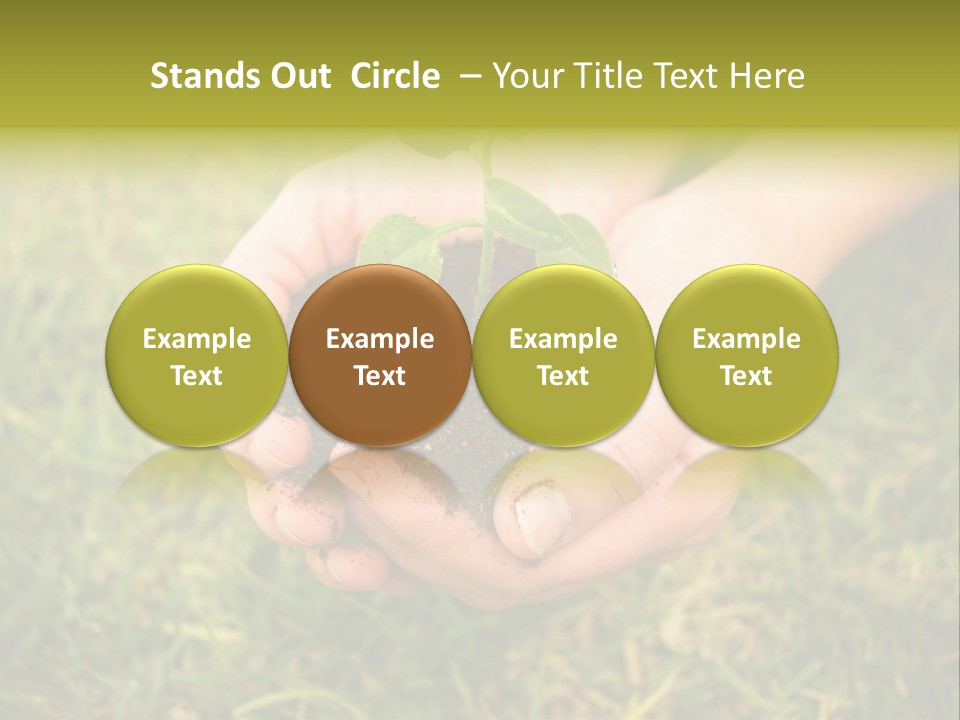 Seed Herb Organic PowerPoint Template