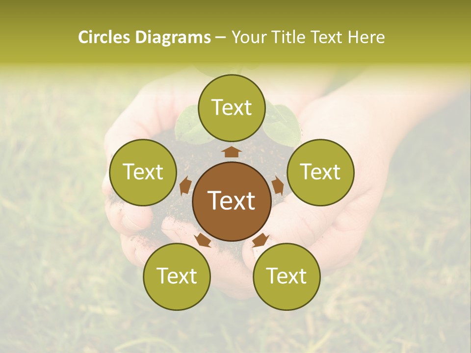 Seed Herb Organic PowerPoint Template