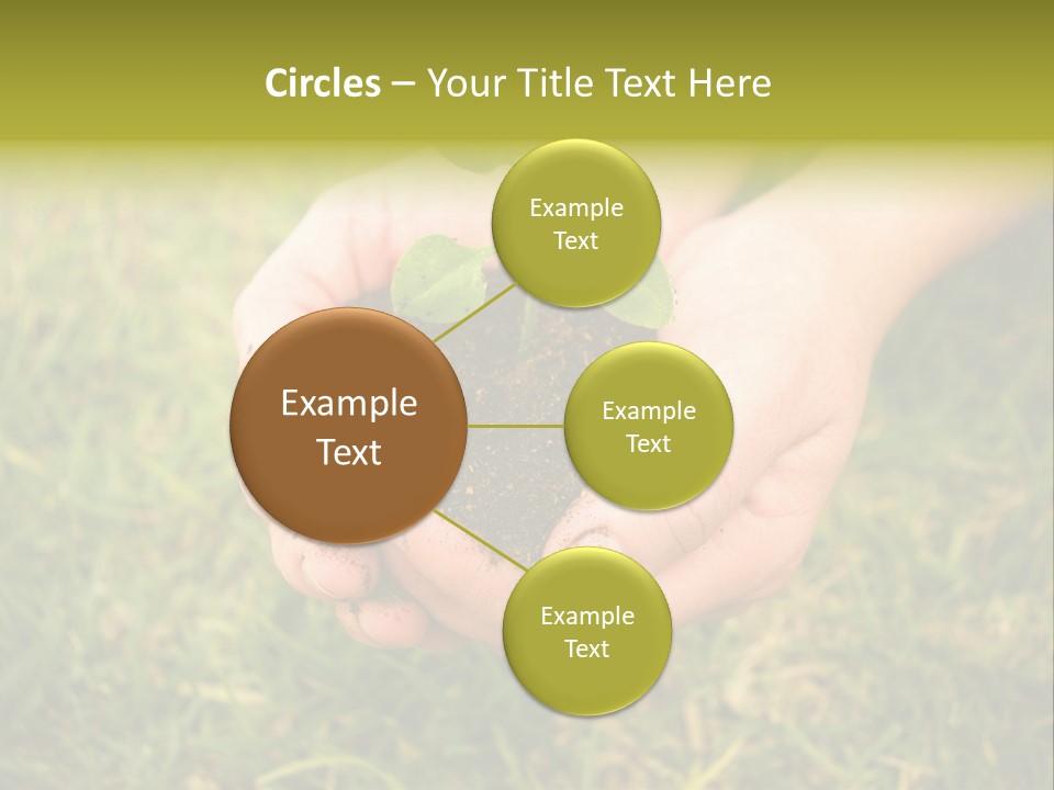 Seed Herb Organic PowerPoint Template