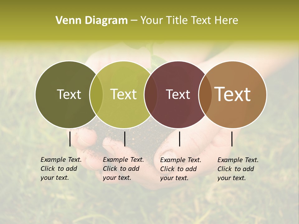 Seed Herb Organic PowerPoint Template