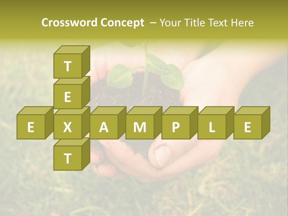 Seed Herb Organic PowerPoint Template