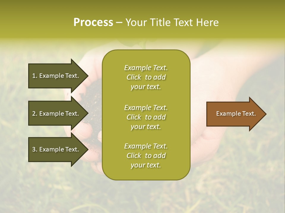 Seed Herb Organic PowerPoint Template