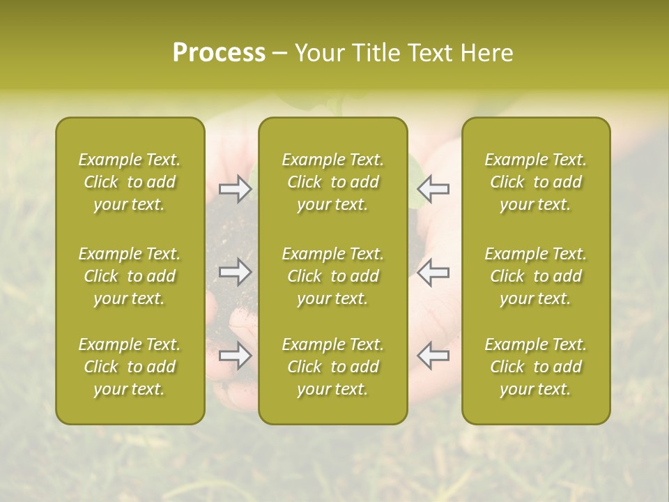 Seed Herb Organic PowerPoint Template