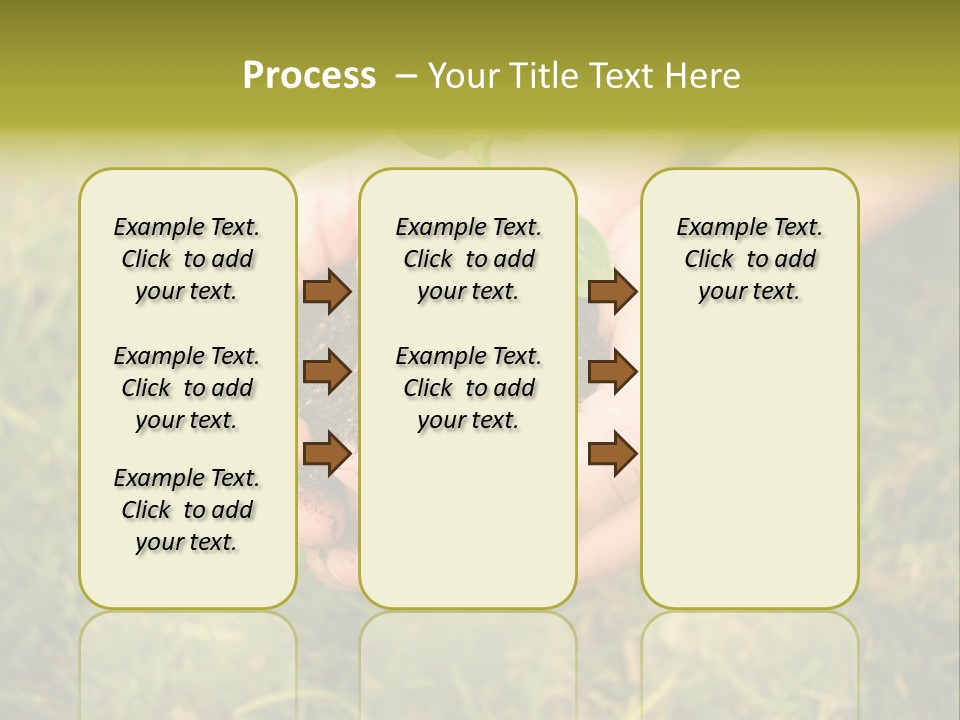 Seed Herb Organic PowerPoint Template