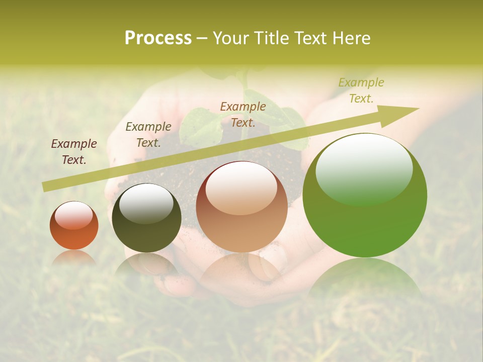Seed Herb Organic PowerPoint Template