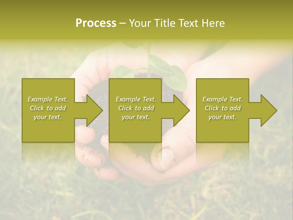 Seed Herb Organic PowerPoint Template