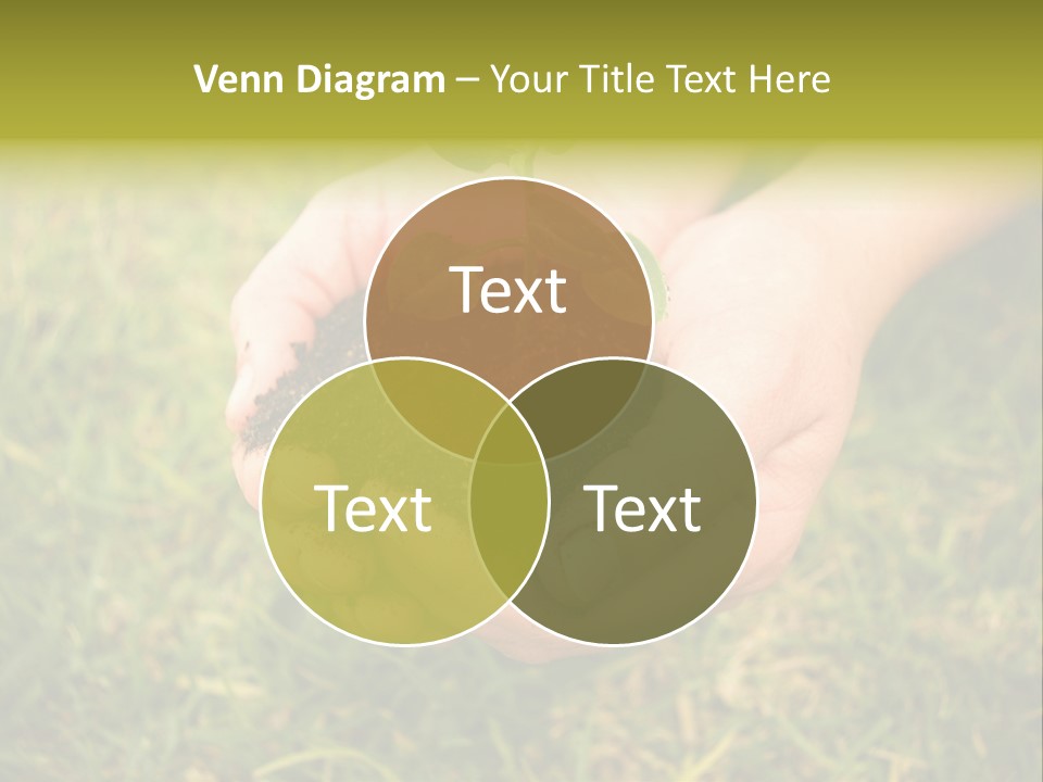 Seed Herb Organic PowerPoint Template