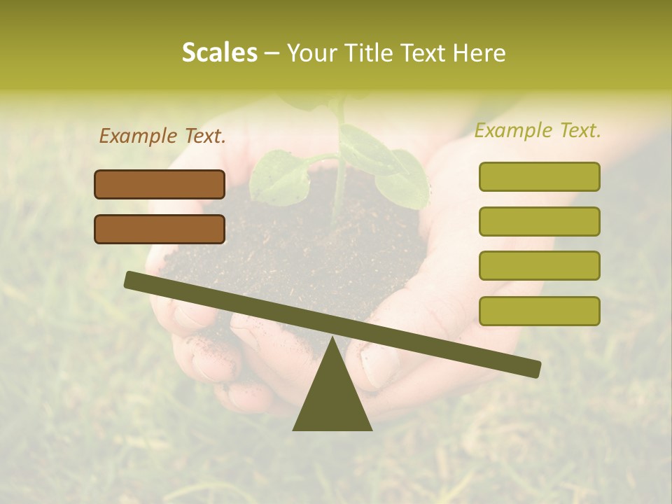 Seed Herb Organic PowerPoint Template