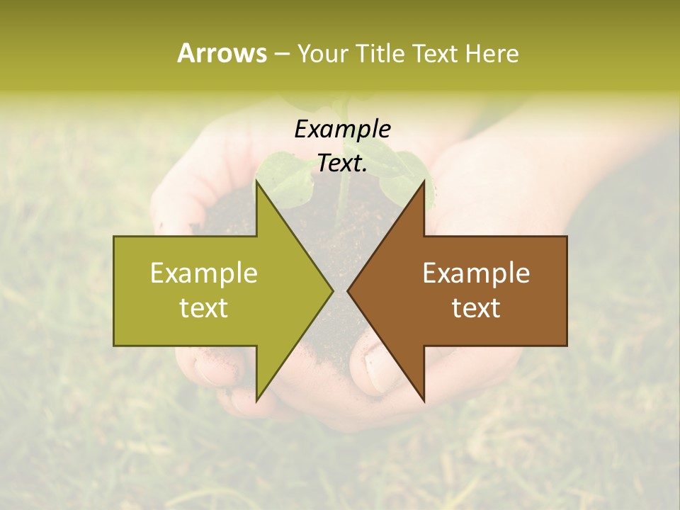 Seed Herb Organic PowerPoint Template