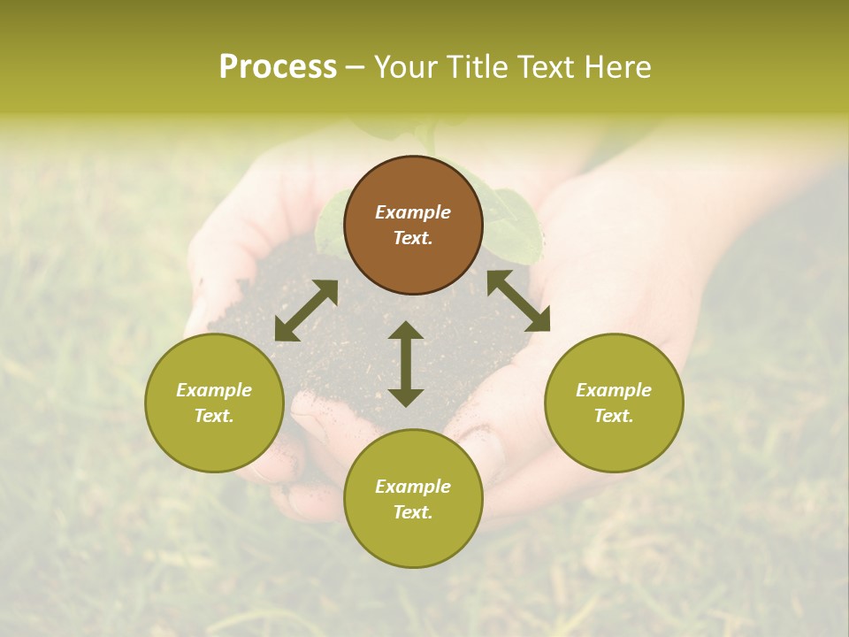 Seed Herb Organic PowerPoint Template