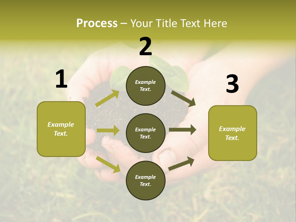 Seed Herb Organic PowerPoint Template