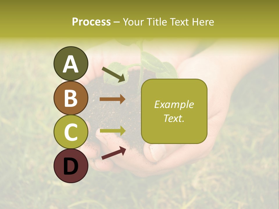 Seed Herb Organic PowerPoint Template