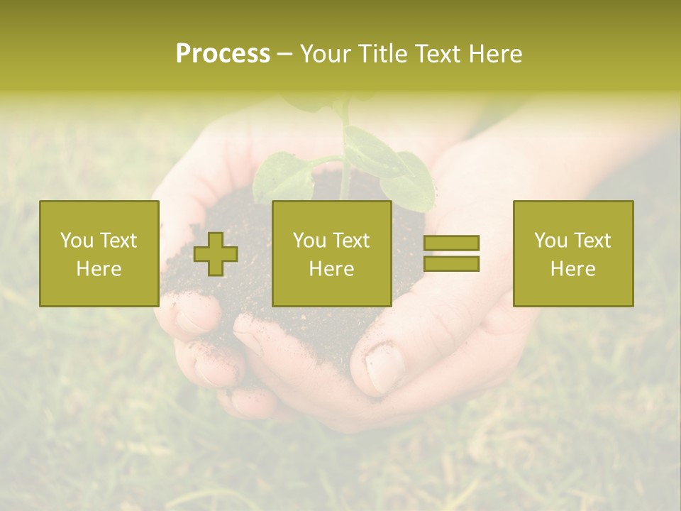 Seed Herb Organic PowerPoint Template