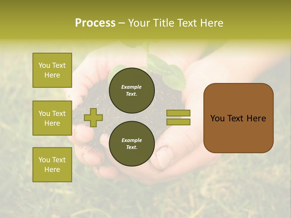 Seed Herb Organic PowerPoint Template