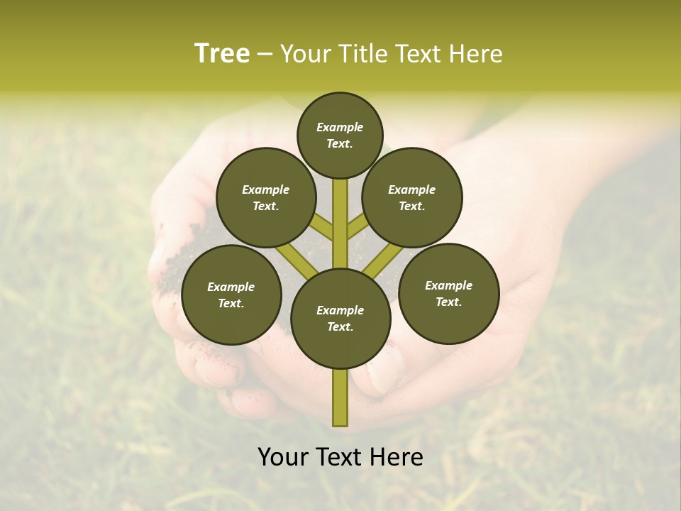 Seed Herb Organic PowerPoint Template