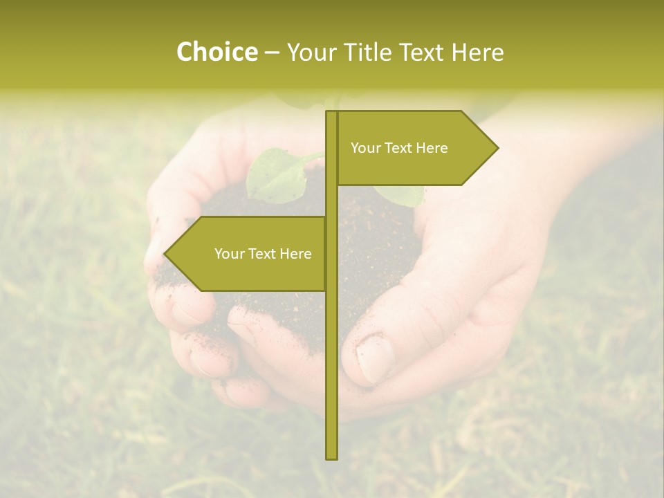 Seed Herb Organic PowerPoint Template