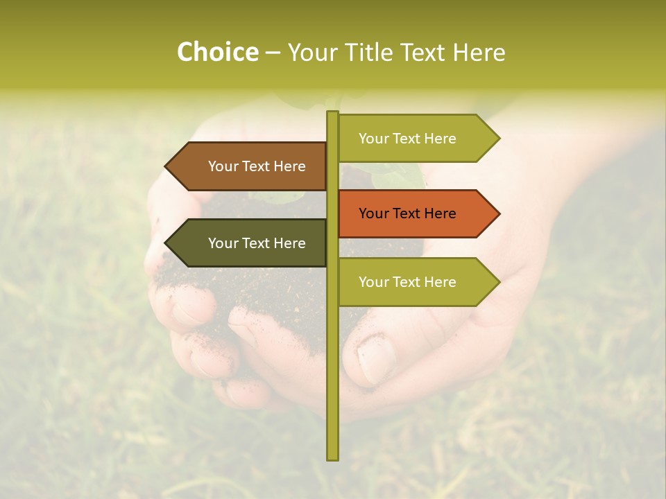 Seed Herb Organic PowerPoint Template