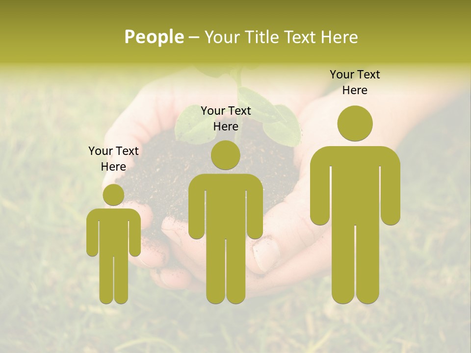 Seed Herb Organic PowerPoint Template