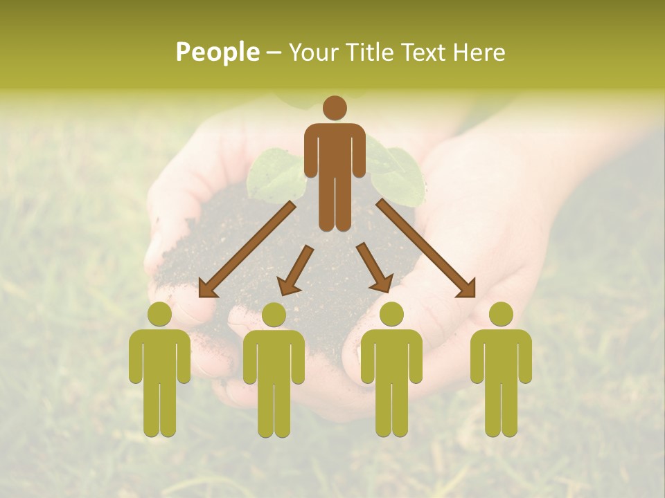 Seed Herb Organic PowerPoint Template