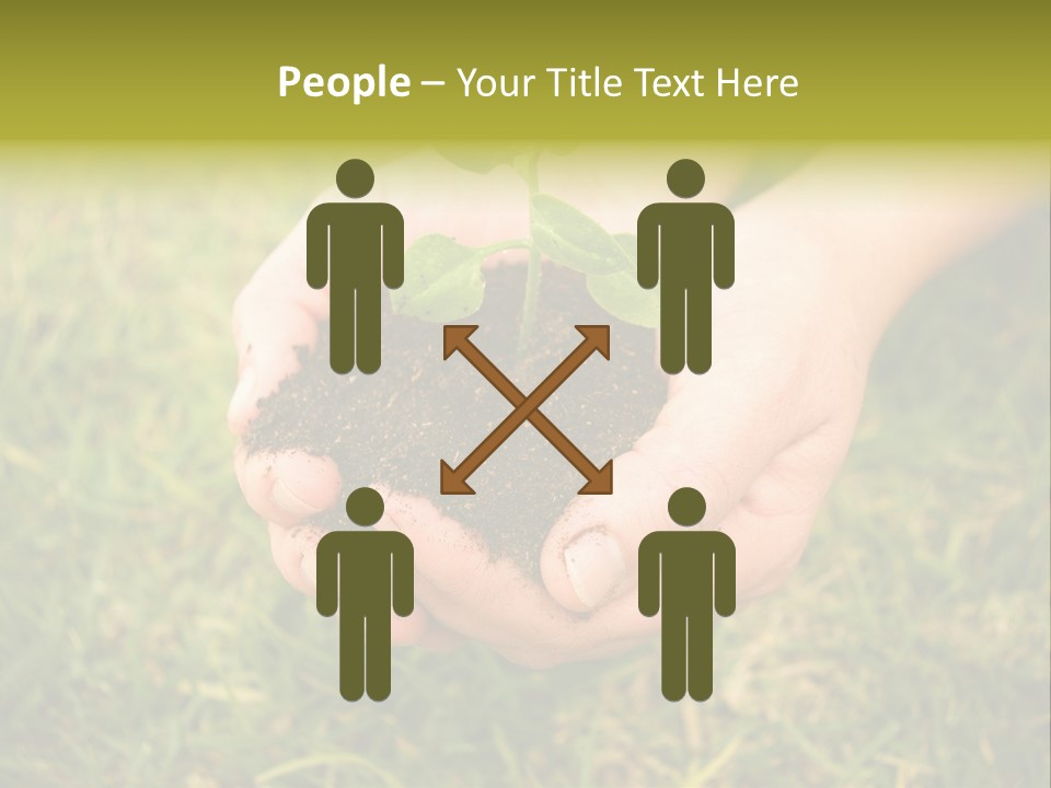 Seed Herb Organic PowerPoint Template