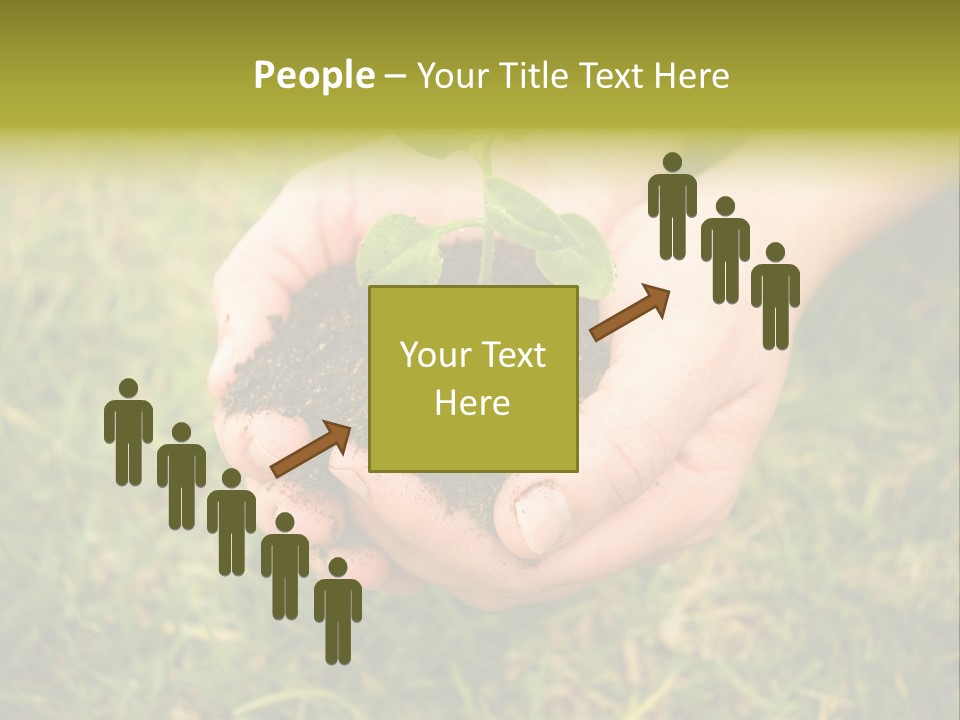 Seed Herb Organic PowerPoint Template