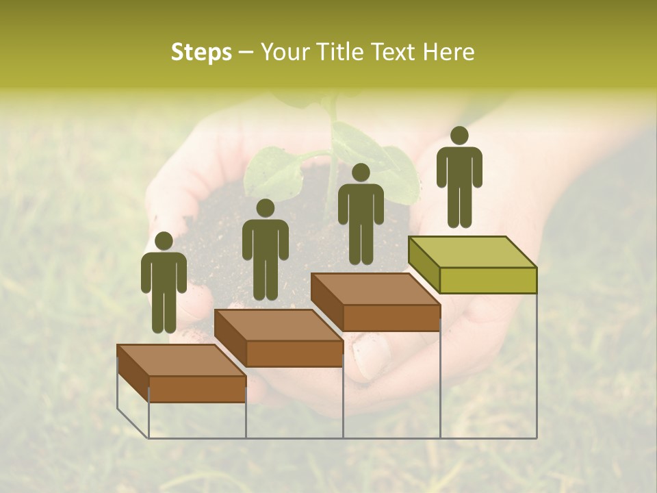 Seed Herb Organic PowerPoint Template