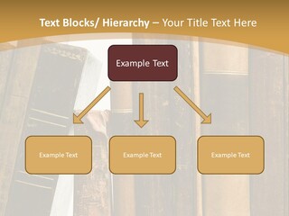 Classical Literature History Created Th Century PowerPoint Template