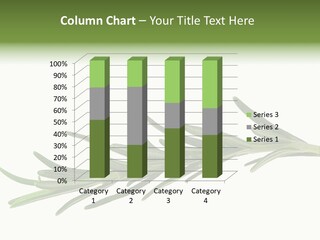 A Branch Of Rosemary On A White Background PowerPoint Template