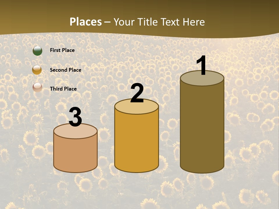 Agricultural Rural Sunshine PowerPoint Template