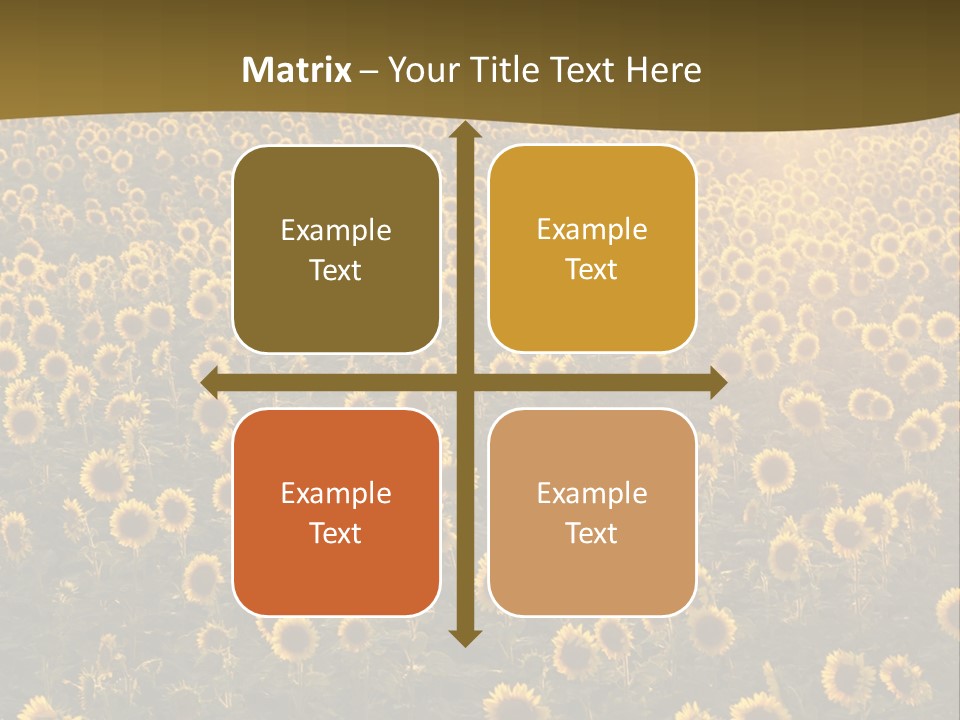 Agricultural Rural Sunshine PowerPoint Template
