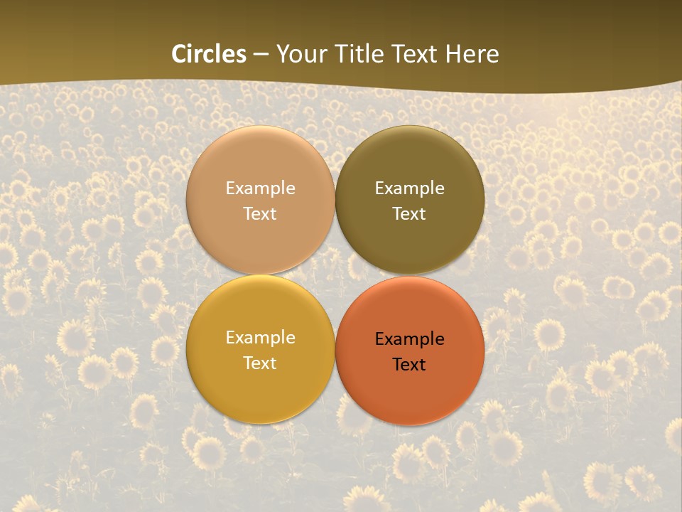 Agricultural Rural Sunshine PowerPoint Template