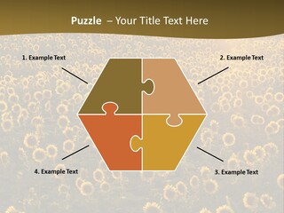 Agricultural Rural Sunshine PowerPoint Template