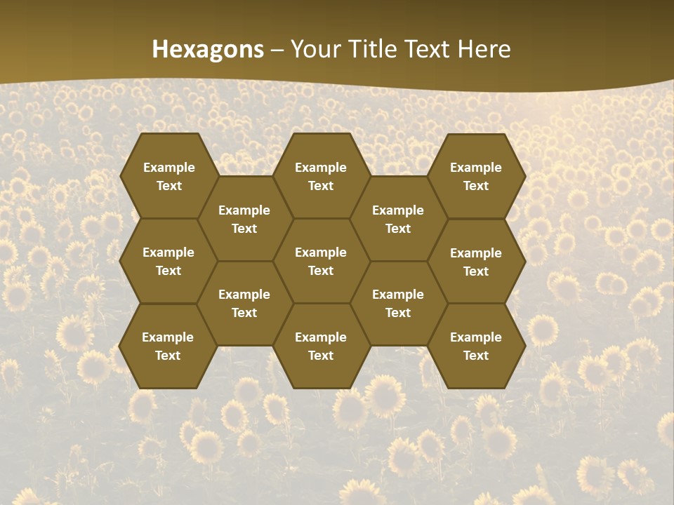 Agricultural Rural Sunshine PowerPoint Template