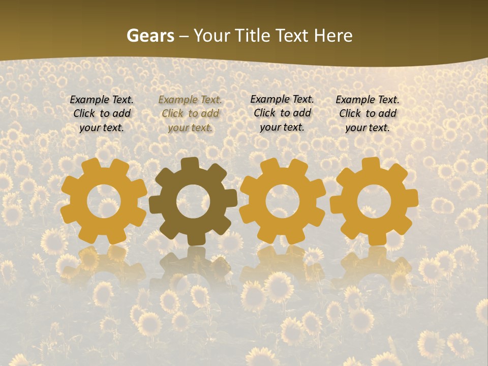 Agricultural Rural Sunshine PowerPoint Template