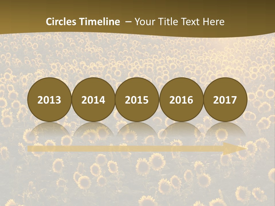 Agricultural Rural Sunshine PowerPoint Template