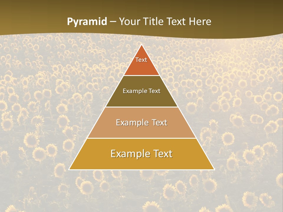 Agricultural Rural Sunshine PowerPoint Template