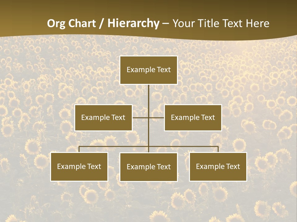 Agricultural Rural Sunshine PowerPoint Template