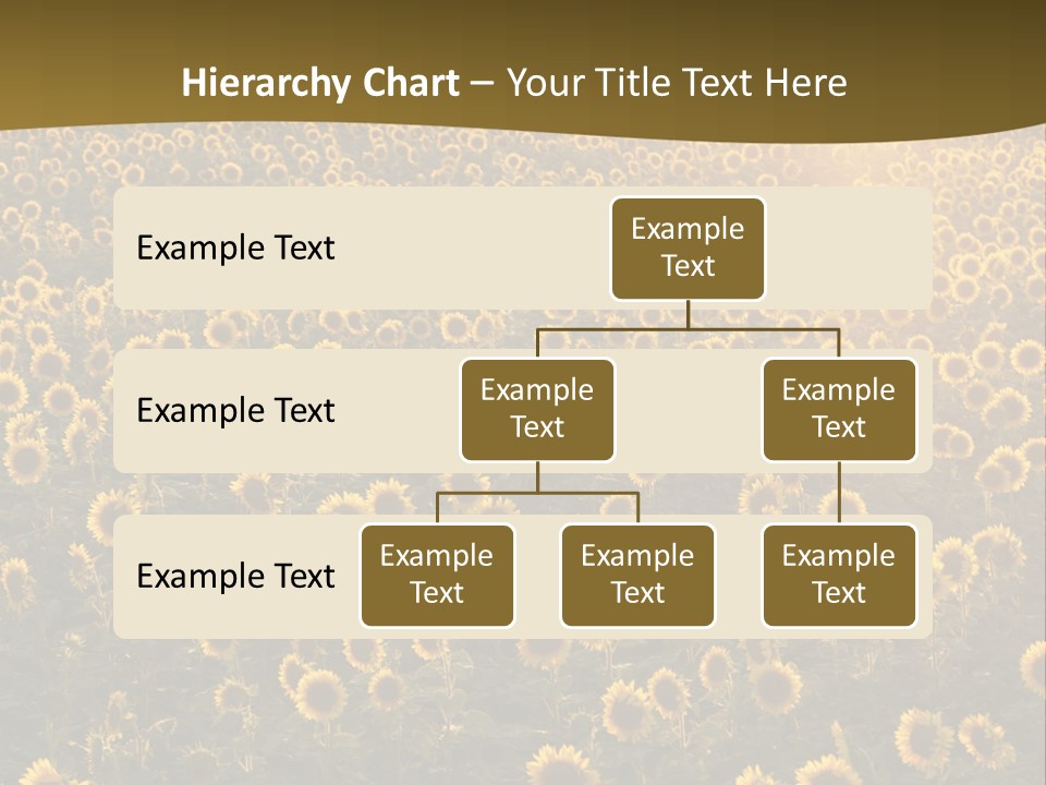 Agricultural Rural Sunshine PowerPoint Template