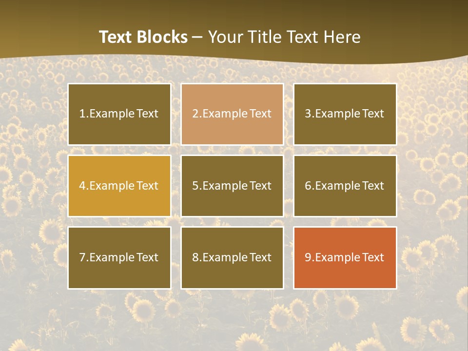 Agricultural Rural Sunshine PowerPoint Template