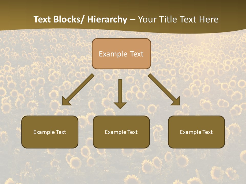 Agricultural Rural Sunshine PowerPoint Template