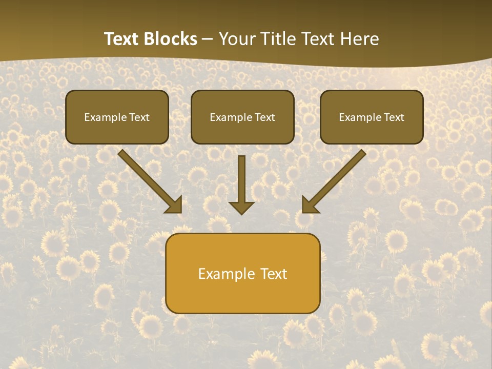 Agricultural Rural Sunshine PowerPoint Template