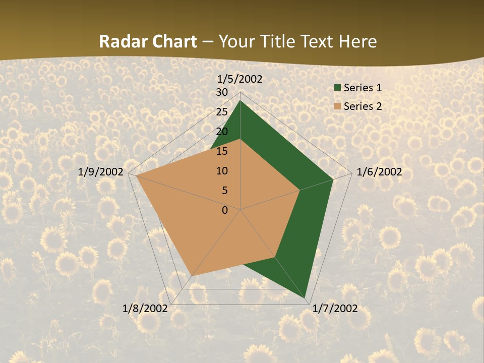 Agricultural Rural Sunshine PowerPoint Template