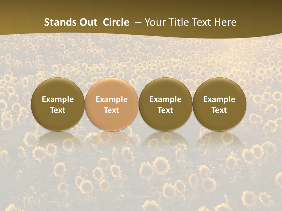 Agricultural Rural Sunshine PowerPoint Template