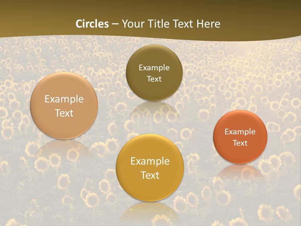 Agricultural Rural Sunshine PowerPoint Template